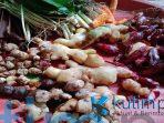 Jamu songgo langit nancep bumi Kutim Post Jamu songgo langit nancep bumi Kutim Post