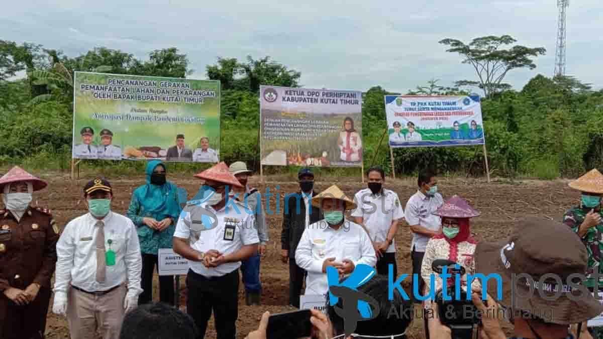 Pencanangan Gerakan Pemanfaatan Lahan dan Pekarangan Oleh Bupati Kutim Ismunandar tahun 2020 Pencanangan Gerakan Pemanfaatan Lahan dan Pekarangan Oleh Bupati Kutim Ismunandar tahun 2020