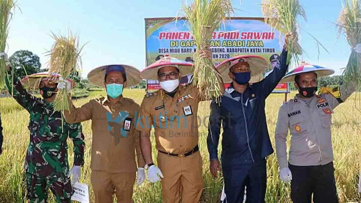 Miau Baru Siap Stok Pangan Kutim Miau Baru Siap Stok Pangan Kutim