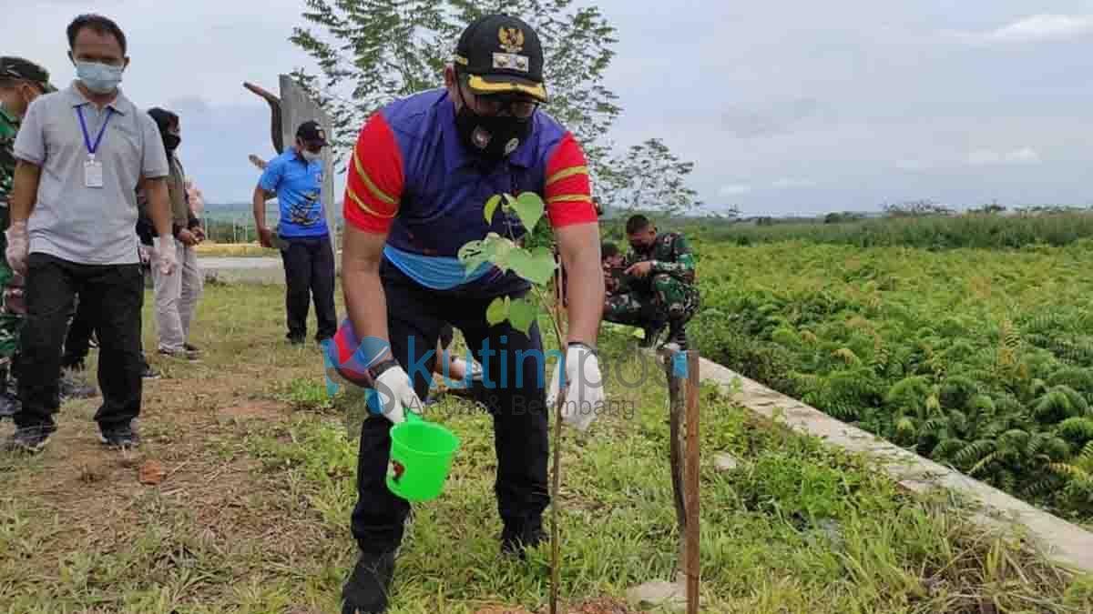 AJKT Bersama Plt. Bupati Gelar Penanaman Pohon di Polder Ilham Maulana AJKT Bersama Plt. Bupati Gelar Penanaman Pohon di Polder Ilham Maulana