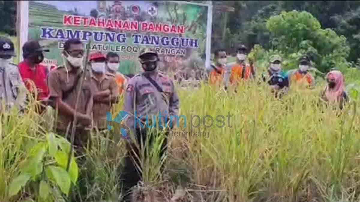 Polsek Sangkulirang Resmikan Kampung Tangguh di Desa Batu Lepoq Polsek Sangkulirang Resmikan Kampung Tangguh di Desa Batu Lepoq