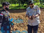 Dampal Jurig Pelopori Penanaman 10.000 Pohon Dampal Jurig Pelopori Penanaman 10.000 Pohon