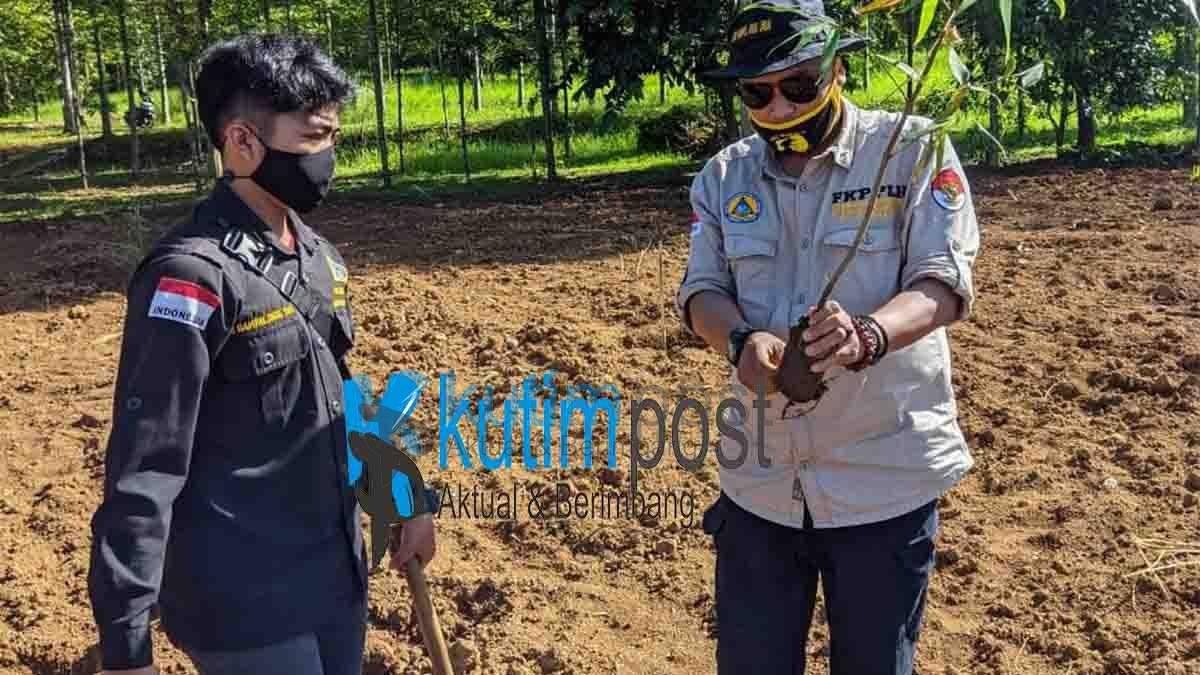 Dampal Jurig Pelopori Penanaman 10.000 Pohon Dampal Jurig Pelopori Penanaman 10.000 Pohon