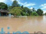 Banjir Jebak 7 Desa di Kecamatan Muara Wahau, Ratusan Rumah Terendam