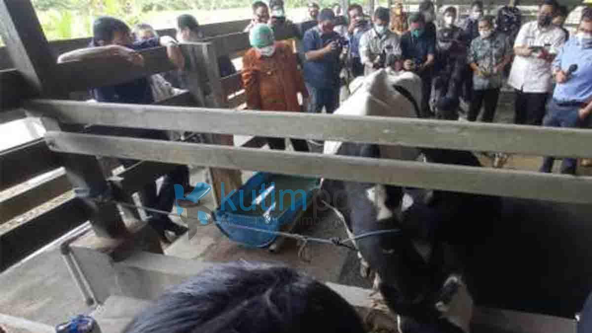 Gubernur dan Bupati Kutim Kunjungi Pesat Gubernur dan Bupati Kutim Kunjungi Pesat