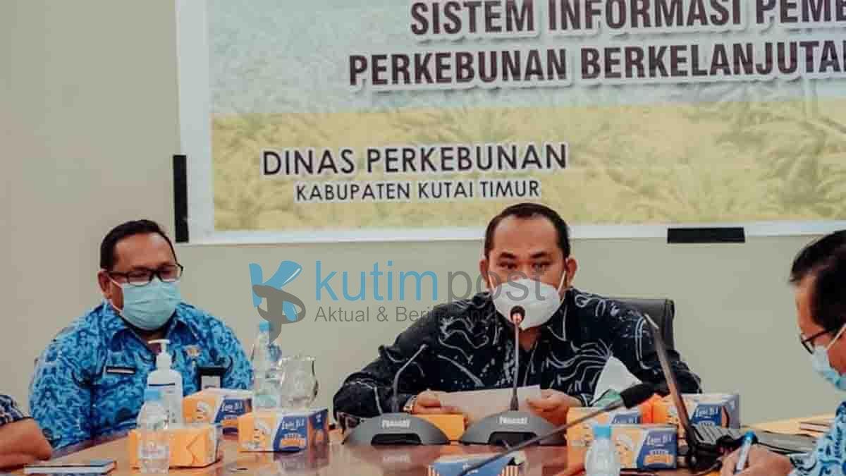 Kasmidi Minta Disbun Bentuk Satgas Awasi Perusahaan Sawit Kasmidi Minta Disbun Bentuk Satgas Awasi Perusahaan Sawit