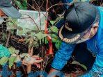 Pemkab Kutim Tanam 50 Pohon Saat Hari Lingkungan Hidup