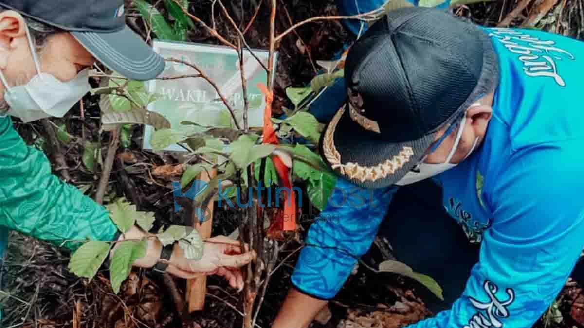 Pemkab Kutim Tanam 50 Pohon Saat Hari Lingkungan Hidup