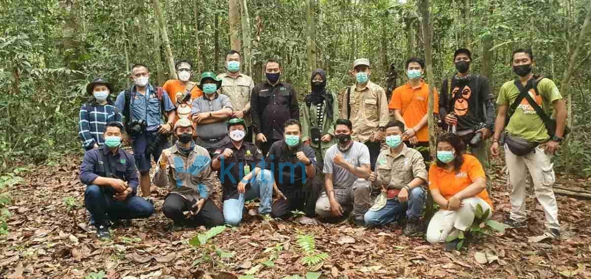 BKSDA-KPC-COP Melepasliarkan Satu Orangutan ke Hutan Lindung Sungai Lesan