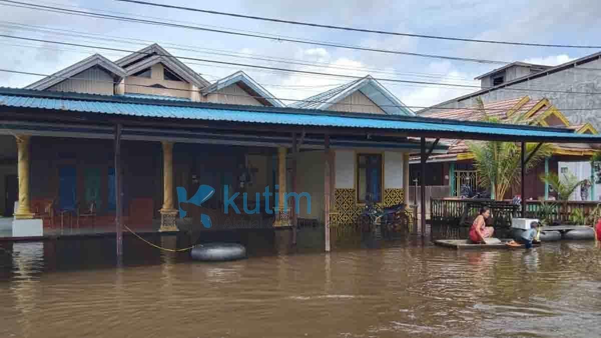 Banjir Bengalon Mulai Surut, BPBD Ingatkan Bahaya Hewan Buas Banjir Bengalon Mulai Surut, BPBD Ingatkan Bahaya Hewan Buas