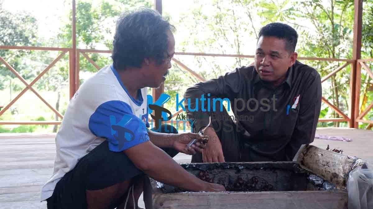 Potensi Madu Kelulut di Bengalon Potensi Madu Kelulut di Bengalon