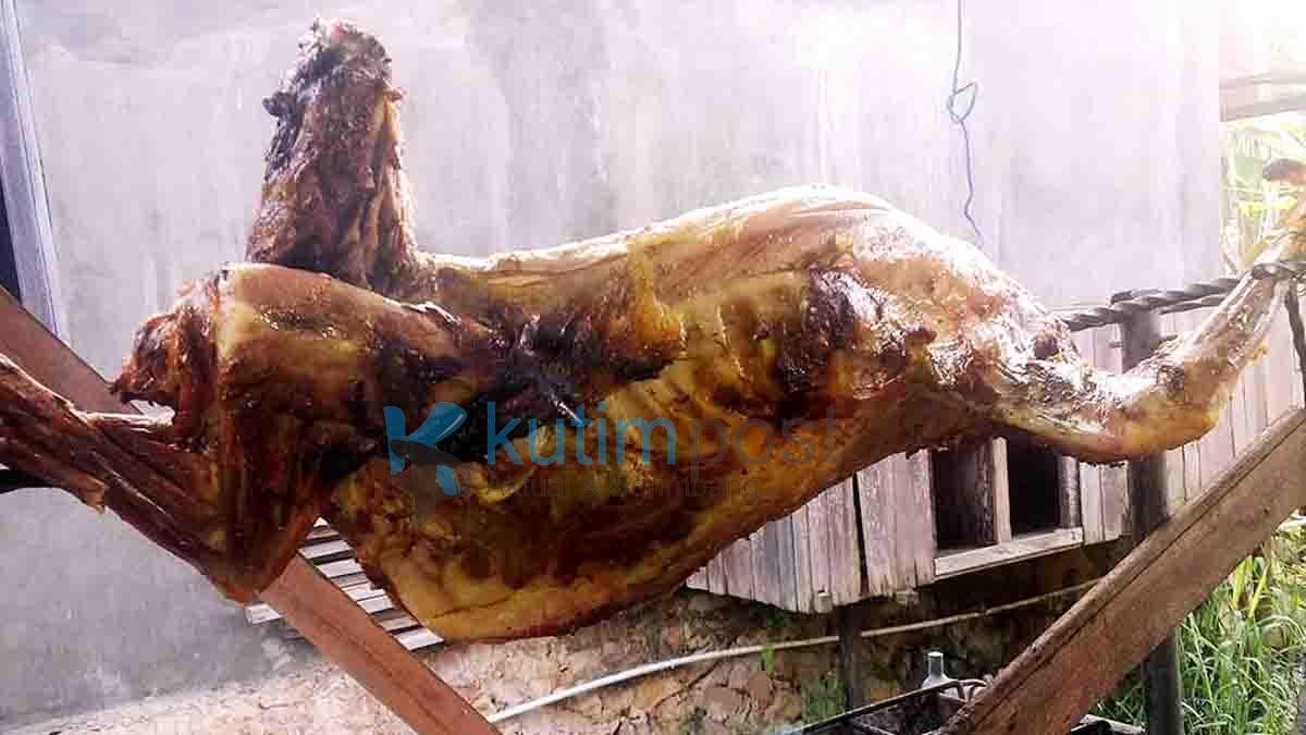 Mau Kambing Guling Yuk, Ke Dmaster Cooking Sangatta Mau Kambing Guling? Yuk, Ke Dmaster Cooking Sangatta