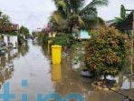 Diguyur Hujan Lebat, Pembudidaya Ikan Gang Musholla Dalam RT 50 Merugi Diguyur Hujan Lebat, Pembudidaya Ikan Gang Musholla Dalam Merugi