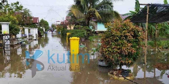Diguyur Hujan Lebat, Pembudidaya Ikan Gang Musholla Dalam RT 50 Merugi Diguyur Hujan Lebat, Pembudidaya Ikan Gang Musholla Dalam Merugi