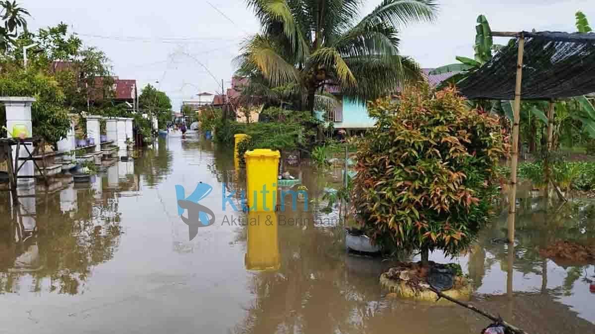 Diguyur Hujan Lebat, Pembudidaya Ikan Gang Musholla Dalam RT 50 Merugi Diguyur Hujan Lebat, Pembudidaya Ikan Gang Musholla Dalam Merugi