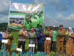 Ketua DPRD Kutim Ikut Dalam Panen Raya Di Ranpul Ketua DPRD Kutim Ikut Dalam Panen Raya Di Ranpul