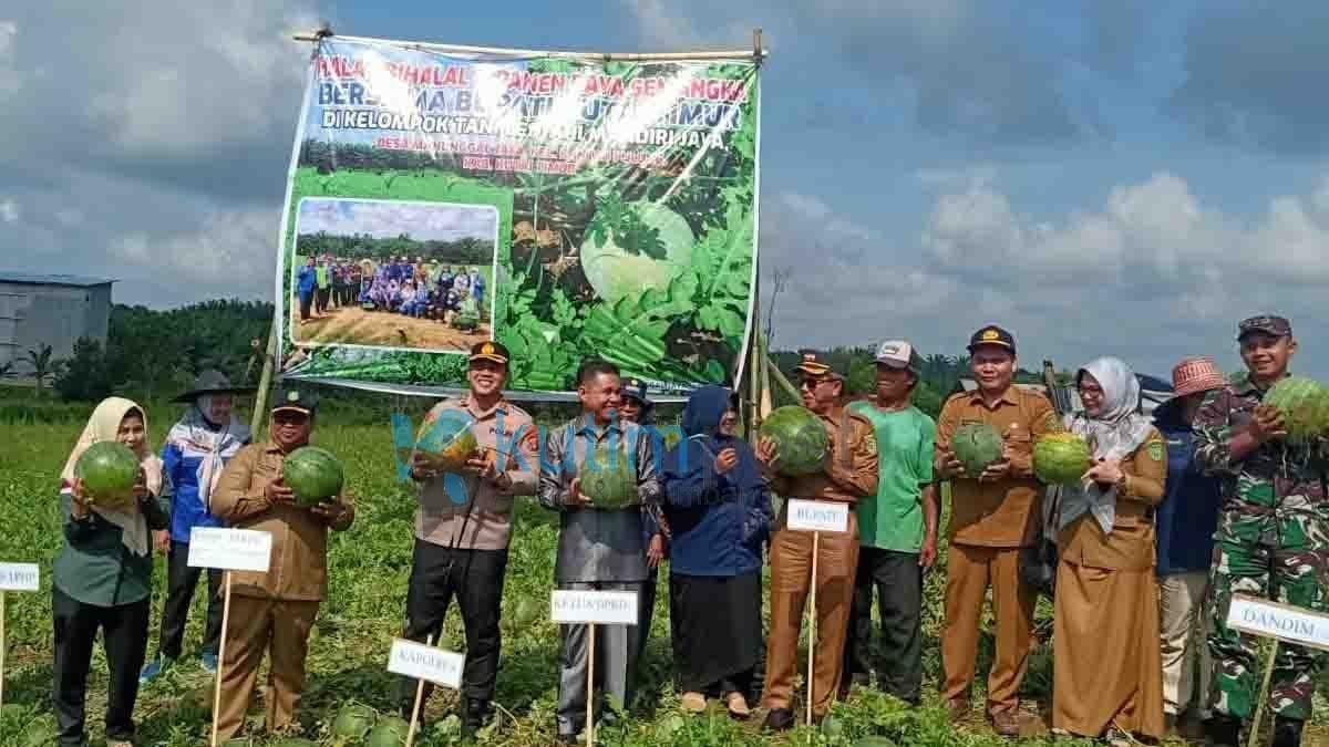 Ketua DPRD Kutim Ikut Dalam Panen Raya Di Ranpul Ketua DPRD Kutim Ikut Dalam Panen Raya Di Ranpul