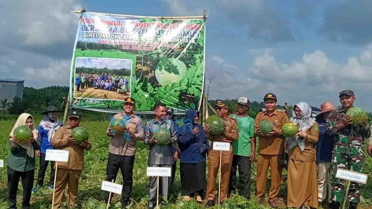 Panen Raya Semangka, Joni; Intensifkan Peran PPL Panen Raya Semangka, Joni; Intensifkan Peran PPL