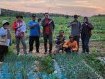 Poktan Lestari Mandiri Jaya Mulai Kembangkan Budidaya Bawang Merah