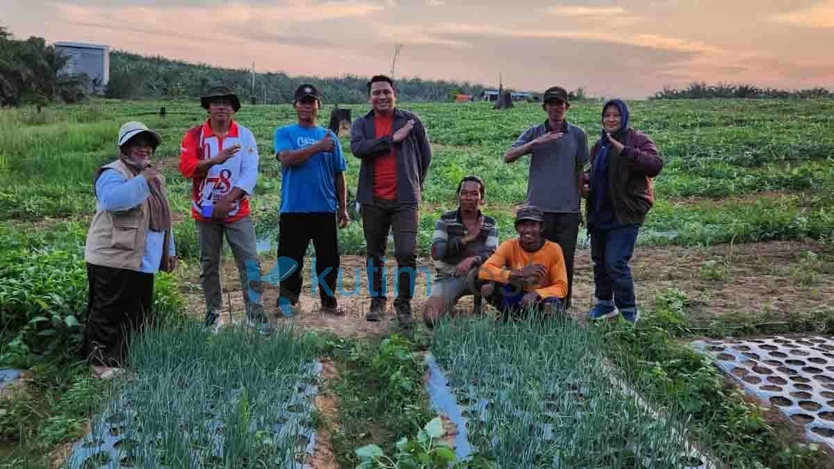 Poktan Lestari Mandiri Jaya Mulai Kembangkan Budidaya Bawang Merah Poktan Lestari Mandiri Jaya Mulai Kembangkan Budidaya Bawang Merah