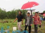 Pupuk Langka, Bupati Minta DTPHP Adakan Latihan Pembuatan Pupuk Organik Pupuk Langka, Bupati Minta DTPHP Adakan Latihan Pembuatan Pupuk Organik