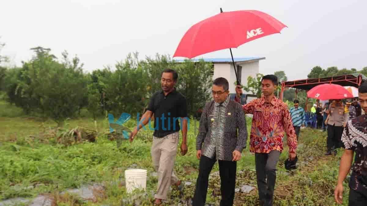 Pupuk Langka, Bupati Minta DTPHP Adakan Latihan Pembuatan Pupuk Organik Pupuk Langka, Bupati Minta DTPHP Adakan Latihan Pembuatan Pupuk Organik