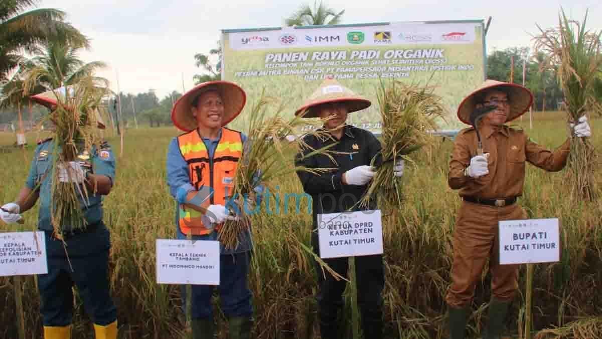 Joni Apresiasi Panen Raya Padi Petani Desa Teluk Pandan Joni Apresiasi Panen Raya Padi Petani Desa Teluk Pandan
