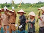 Bupati Kutai Timur, Ardiansyah Sulaiman bersama Ketua DPRD Kutim, Joni, ikut dalam Panen Raya Padi Organik, di Desa Teluk Pandan, Kecamatan Teluk Pandan.
