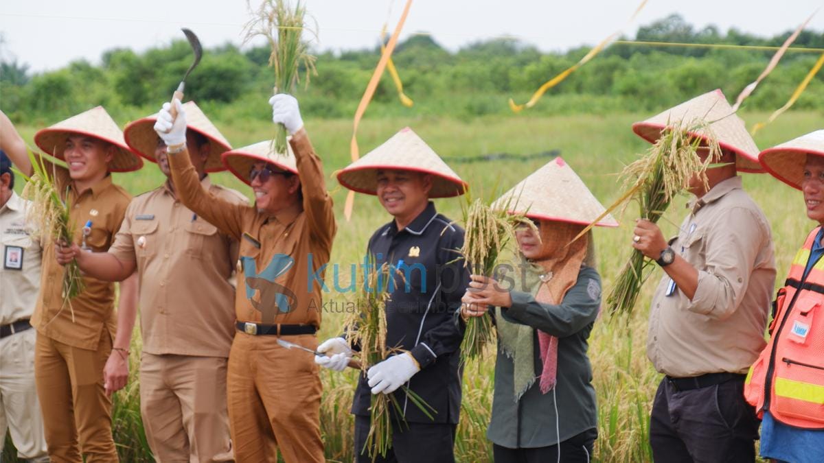 Panen Raya Padi Organik Desa Teluk Pandan Bupati Kutai Timur, Ardiansyah Sulaiman bersama Ketua DPRD Kutim, Joni, ikut dalam Panen Raya Padi Organik, di Desa Teluk Pandan, Kecamatan Teluk Pandan.