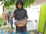 Dari kolong rumah warga gang musholla Dalam RT 50
