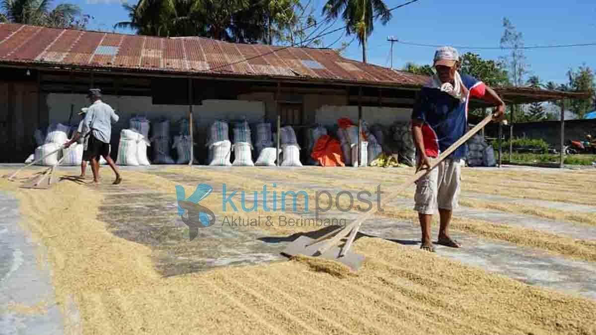 Masyarakat Dapat Bantuan Lumbung dan Lantai Jemur Dari Dinas Pangan Kutim Masyarakat Dapat Bantuan Lumbung dan Lantai Jemur Dari Dinas Pangan Kutim