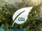pakar-ungkap-pentingnya-percepatan-pembuatan-regulasi-operasional-carbon-capture-storage_bf628d7.jpg