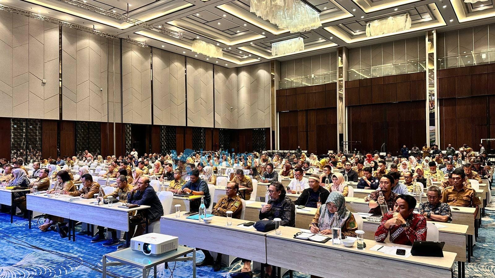 440928509_1134433241194617_1984151616249660846_n