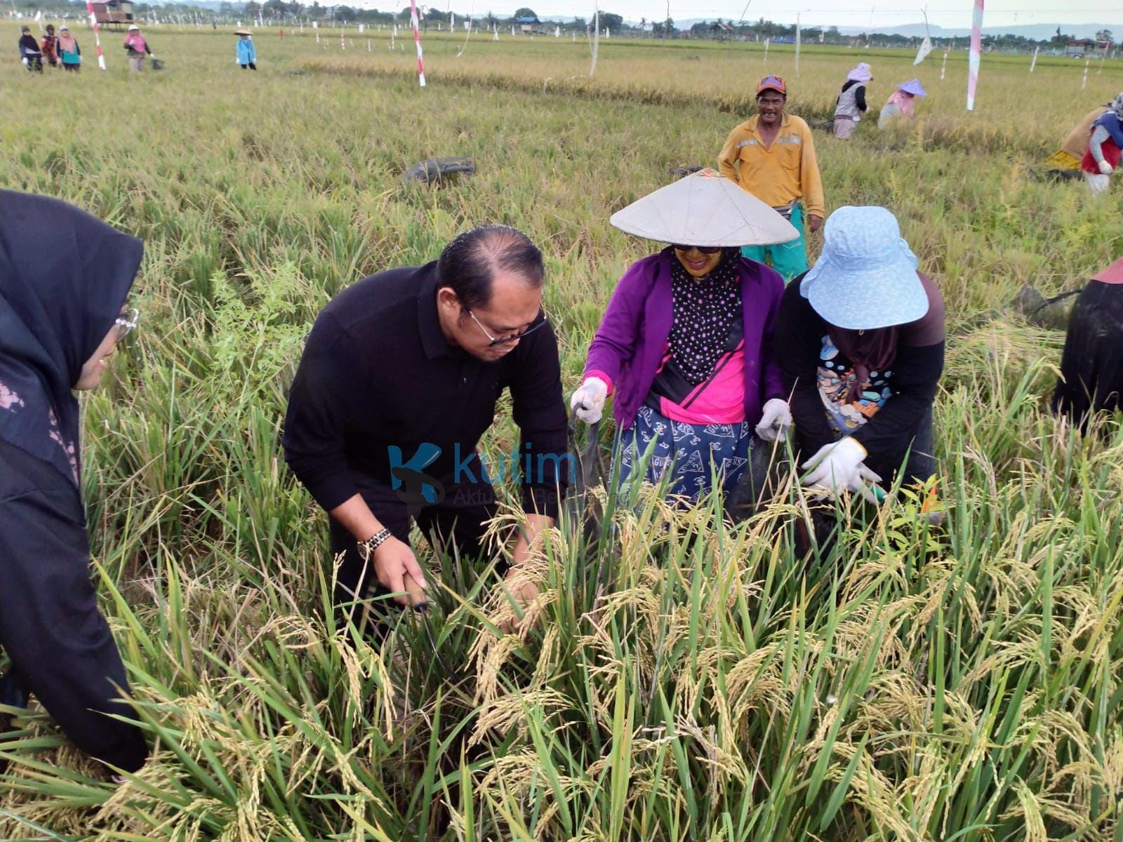 7deaa7e3-8c42-4a8f-a322-88c17cff6a81