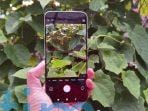 daftar-fitur-ai-tersembunyi-di-xiaomi-14-bisa-bikin-foto-makin-estetik_78393dd.jpg