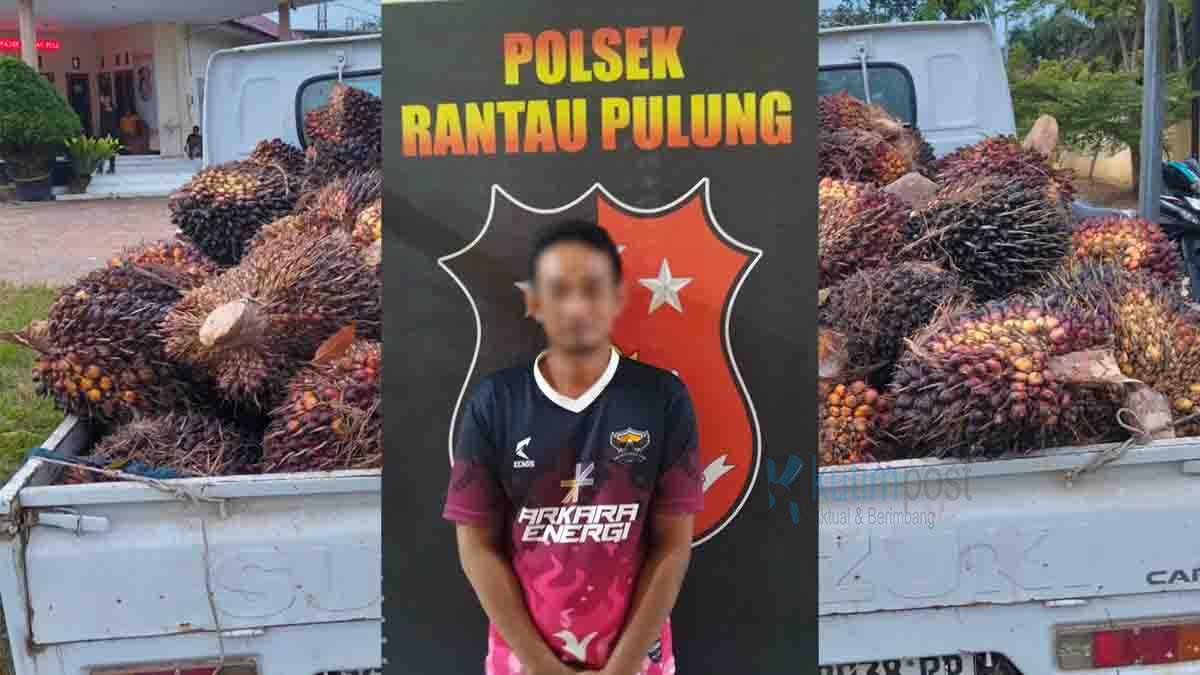Polsek Rantau Pulung Berhasil Amankan Pencuri Buah Sawit Polsek Rantau Pulung Berhasil Amankan Pencuri Buah Sawit