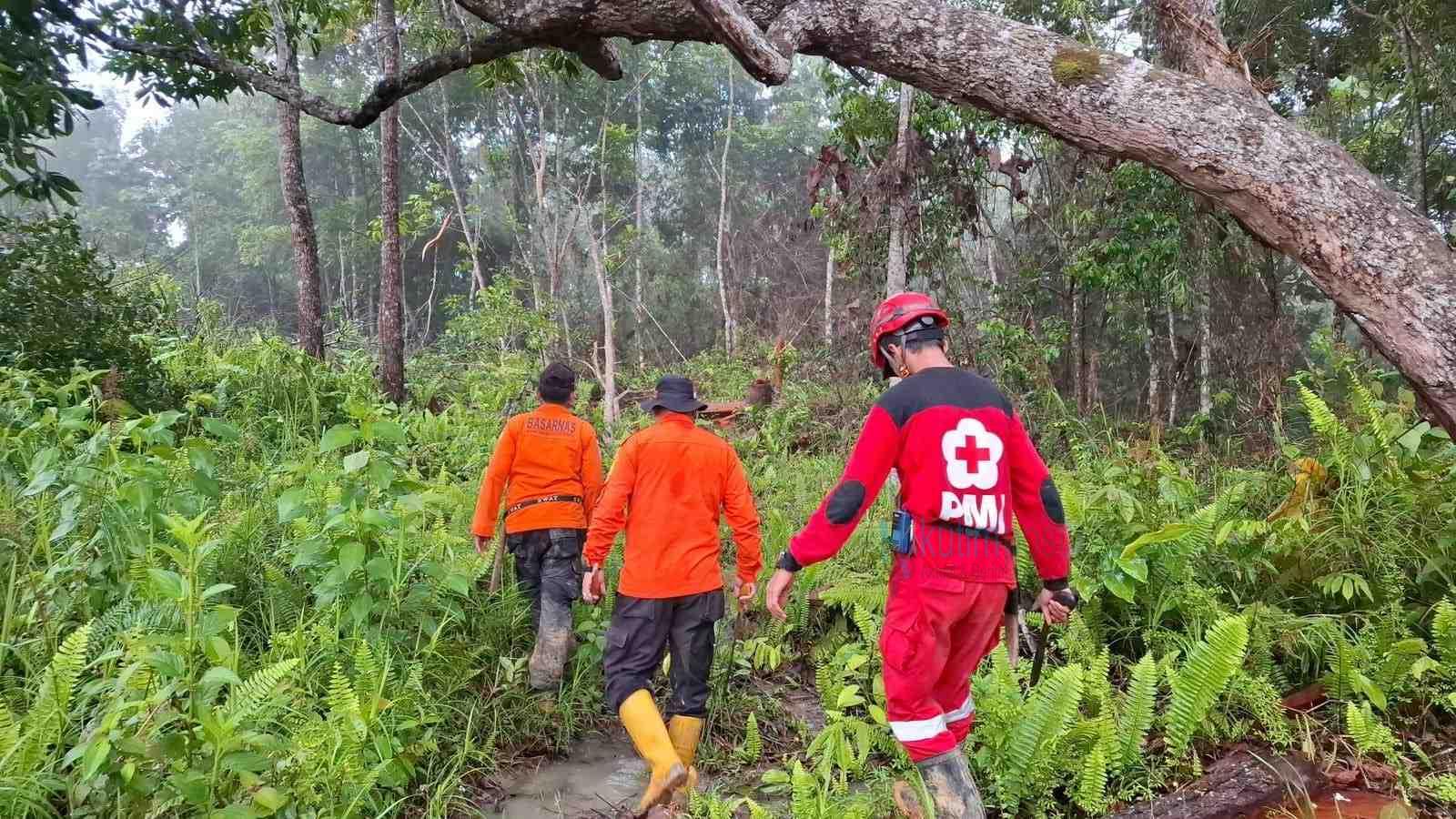 Operasi SAR Warga Hilang di Hutan Batu Dinding Resmi Ditutup, Korban Belum Ditemukan Operasi SAR Warga Hilang di Hutan Batu Dinding Resmi Ditutup, Korban Belum Ditemukan