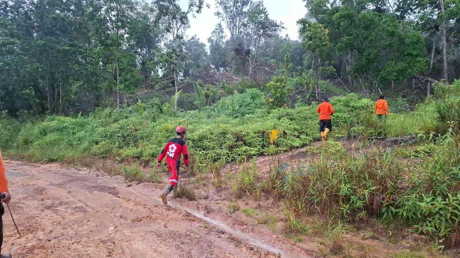 Pergi Cari Kayu Warga Hilang di Hutan Batu Dinding. Seorang warga bernama Arman (60) dilaporkan hilang saat mencari kayu di kawasan Hutan Batu Dinding, Kabupaten Kutai Kartanegara