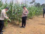 Polsek Muara Wahau Turun Lapangan Cek Kesiapan Lahan Penanaman Jagung
