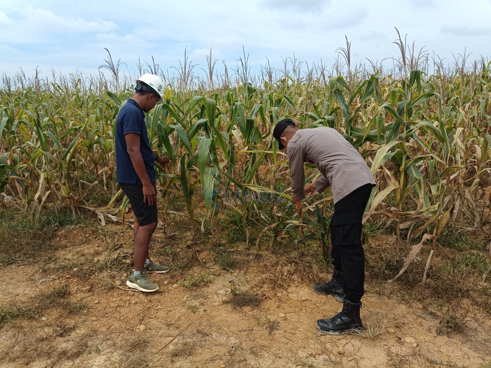 4ac6ac77-8cea-4448-bab2-70765254b845