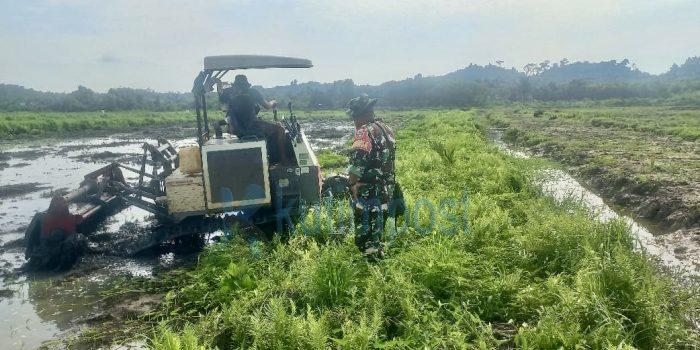 Kodim 0909/Kutai Timur Dorong Swasembada Pangan Lewat Program Cetak Sawah Rakyat