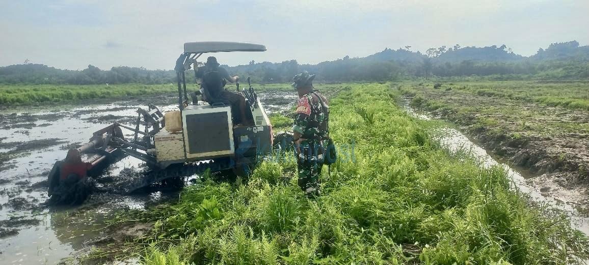 Kodim 0909/Kutai Timur Dorong Swasembada Pangan Lewat Program Cetak Sawah Rakyat