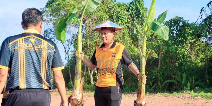 Polres Kutim Tanam Pisang Dukung Ketahanan Pangan Polres Kutim Tanam Pisang Dukung Ketahanan Pangan