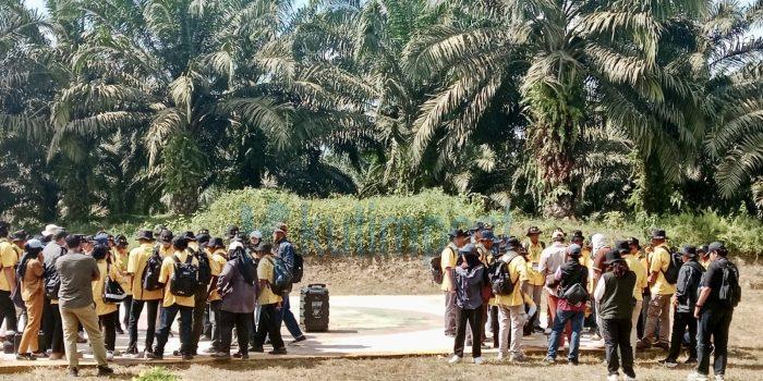 120 Petani Sawit Kutai Timur Ikuti Pelatihan Pemetaan Digital Kebun di Balikpapan