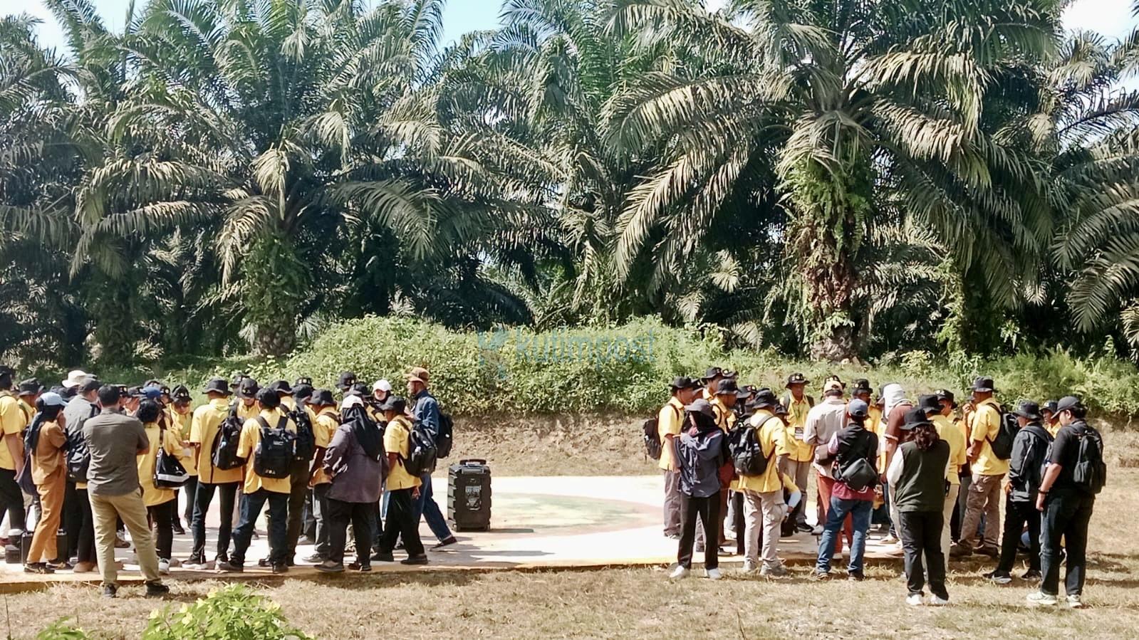 120 Petani Sawit Kutai Timur Ikuti Pelatihan Pemetaan Digital Kebun di Balikpapan 120 Petani Sawit Kutai Timur Ikuti Pelatihan Pemetaan Digital Kebun di Balikpapan