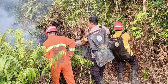 0,5 Hektare Lahan Terbakar di Singa Geweh, Polsek Sangatta Utara Beraksi