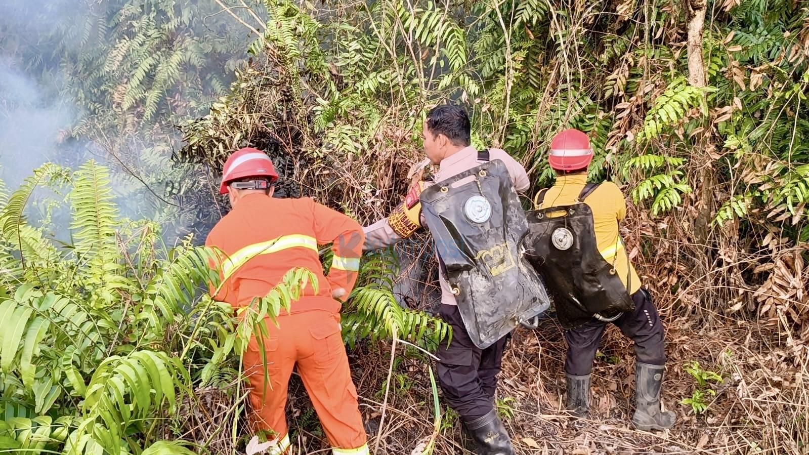 0,5 Hektare Lahan Terbakar di Singa Geweh, Polsek Sangatta Utara Beraksi