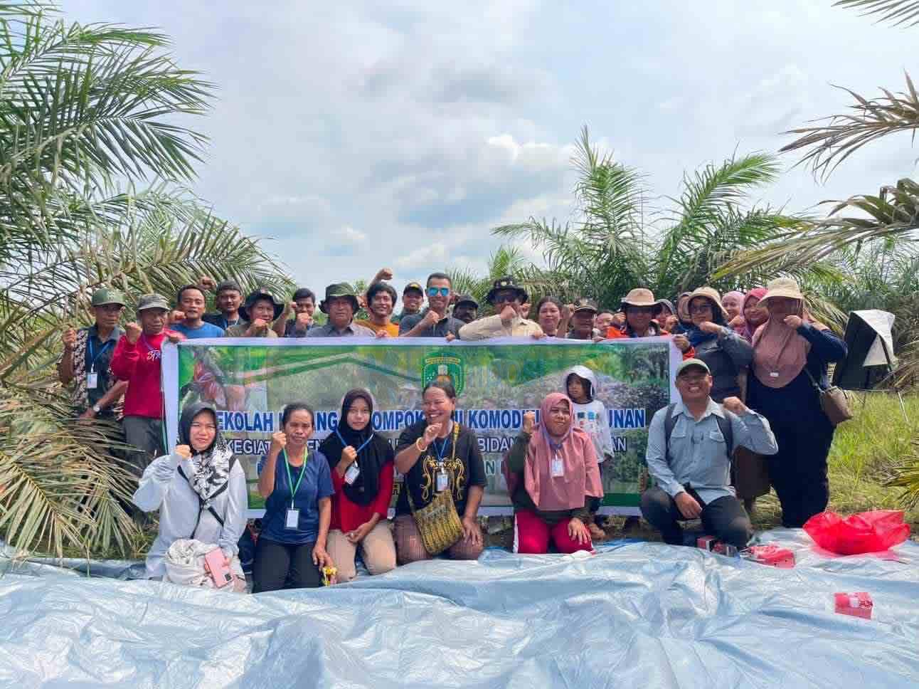 Targetkan Sawit Makin Produktif, Dinas Perkebunan Kutim Intensifkan Sekolah Lapang untuk Petani
