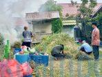 Semangat Kemerdekaan Mulai Terasa! Warga Gang Musholla Dalam Gotong Royong Percantik Lingkungan Semangat Kemerdekaan Mulai Terasa! Warga Gang Musholla Dalam Gotong Royong Percantik Lingkungan