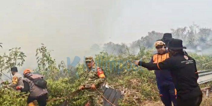 Karhutla Mengganas di Sangatta Utara, 10 Hektare Lahan Terbakar, Puluhan Personel Dikerahkan